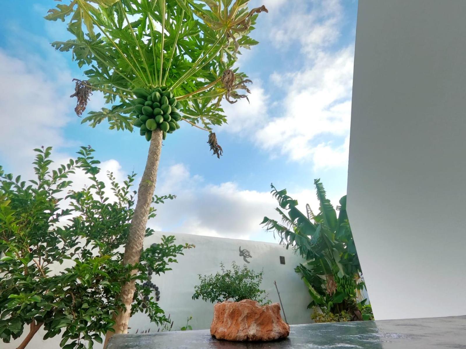 Appartamento Jardin Del Mar Tinajo Esterno foto